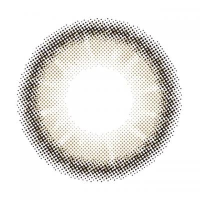 ダズルグレー レンズ画像