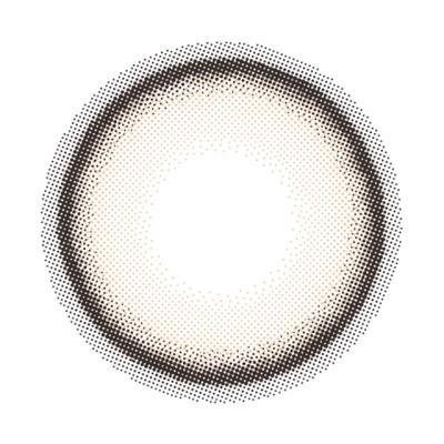 メープルコントゥア レンズ画像
