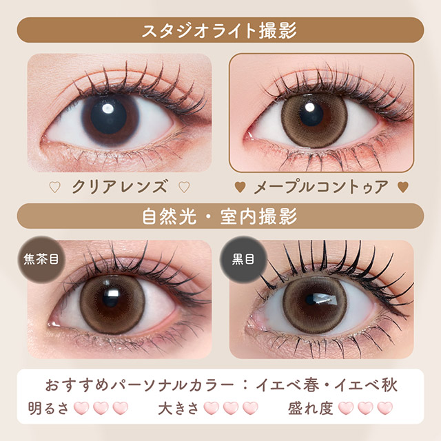 マランマラン ワンマンス メープルコントゥア(7)