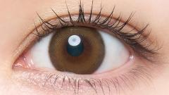 メロット トーリック(乱視用) シークレットベア CYL-1.25