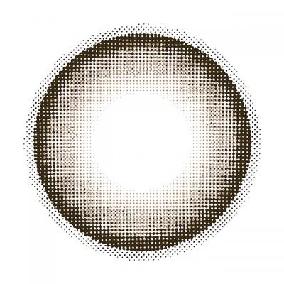 トリュフグレー レンズ画像