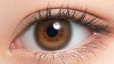 ブラウンフォンデュ 装用画像