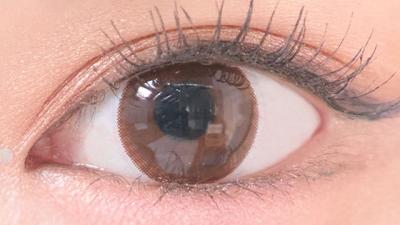 ドーリーベア 装用画像