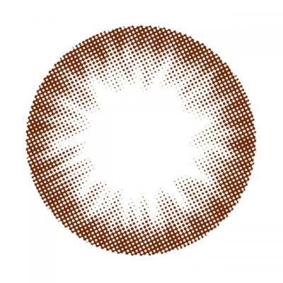 ドーリーベア レンズ画像