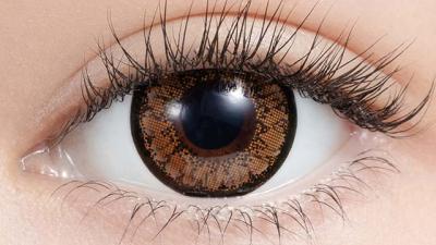 デイジーブラウン14.5(NEW) 装用画像