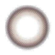 モテコンフォースクール 本命ブラウン