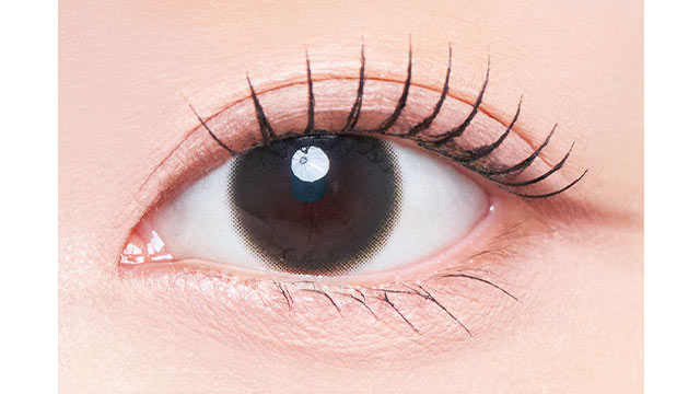 メビラージュ ディスティニーブラウン(2)