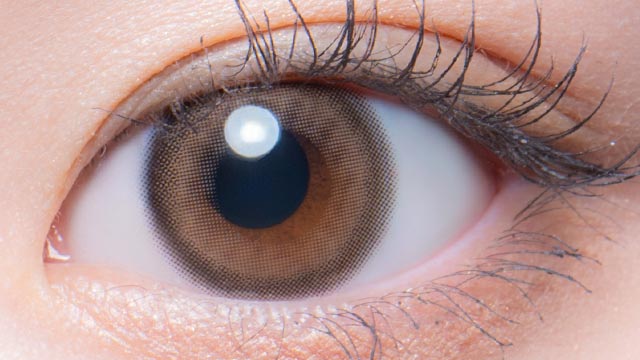 ポッポブラウン 装用画像