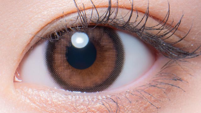 トノブラウン 装用画像