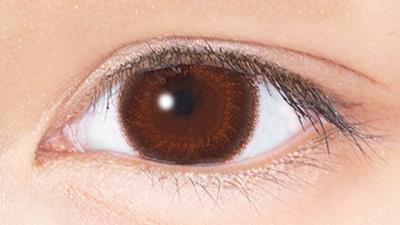 モカブラウン 装用画像