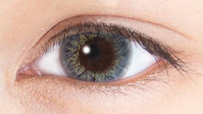 オリーブグレー 装用画像