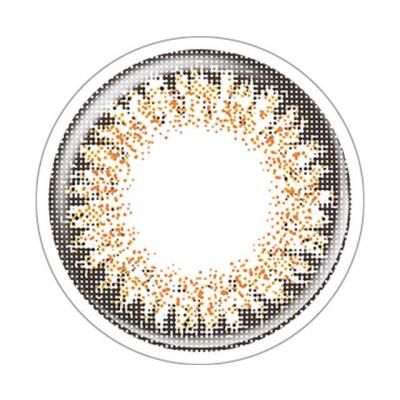 リッチブラウン レンズ画像