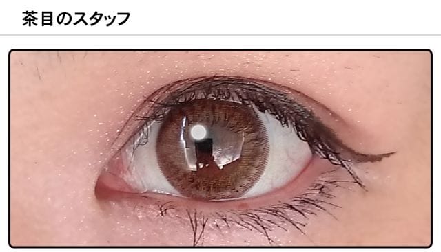 スタッフ0の装着画像