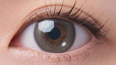 チャイフープ 装用画像