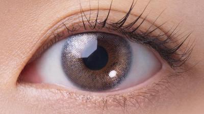 ホログラムシェル 装用画像