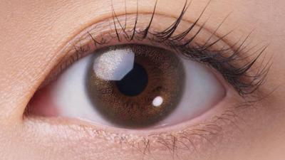 シルキージンジャー 装用画像