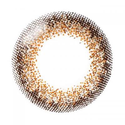 シエルブラウン レンズ画像