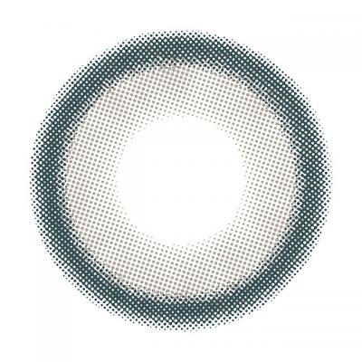 魚 レンズ画像
