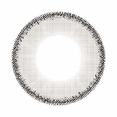 エヌズコレクション 天ぷらver.2 レンズ画像
