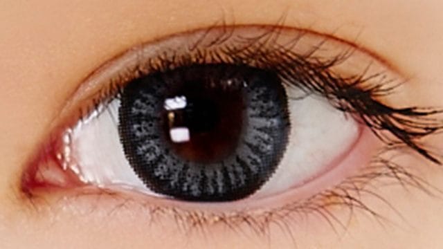 ネオサイトワンデーリングカラーズグレー30枚入度なし
