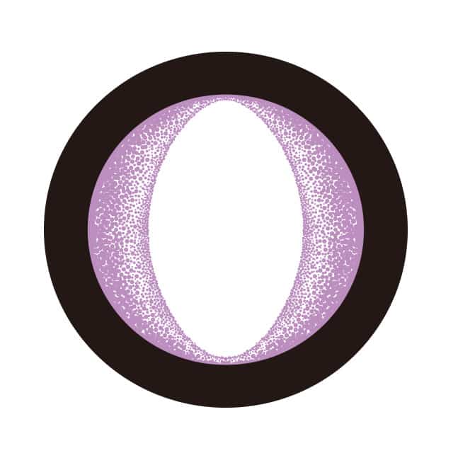ニャンニャ きゃっとぱーぷる