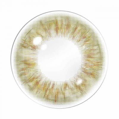 キウイ レンズ画像