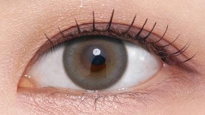 グレー 装用画像