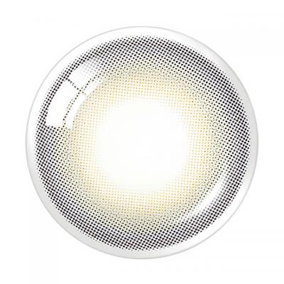 グレー レンズ画像