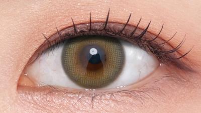 オリーブ 装用画像