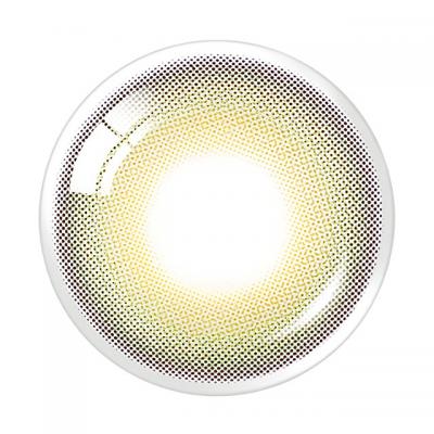 オリーブ レンズ画像