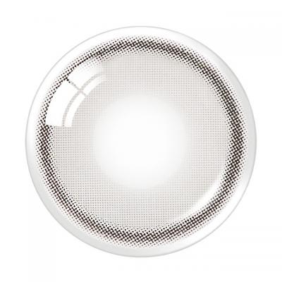 グレー レンズ画像