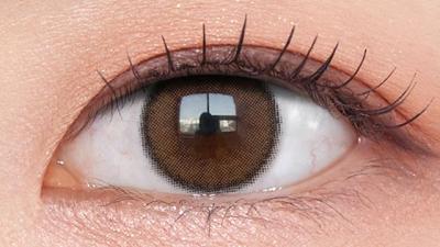 ブラウン 装用画像