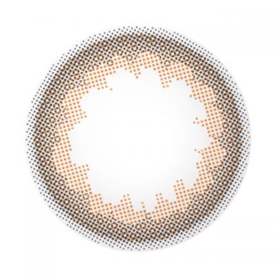 フラワーベージュ レンズ画像