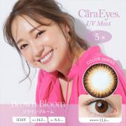 ワンデーキャラアイUVモイスト ブラウンブルーム chay(まいまい)