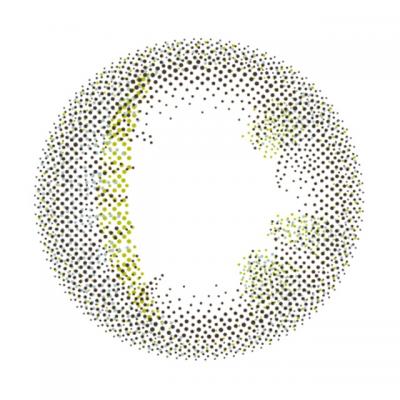 OvE1 レンズ画像