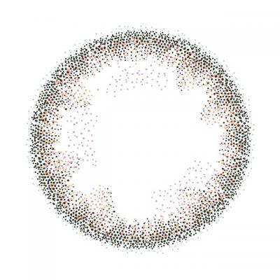 OvE8 レンズ画像