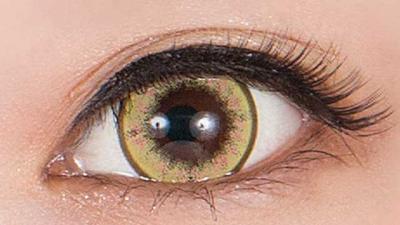 ランタナ 装用画像