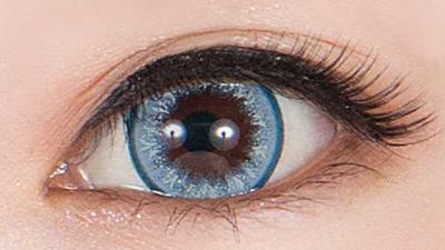 ネコヤナギ 装用画像