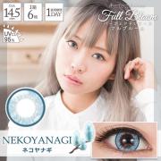 パーフェクトシリーズワンデー フルブルーム ネコヤナギ