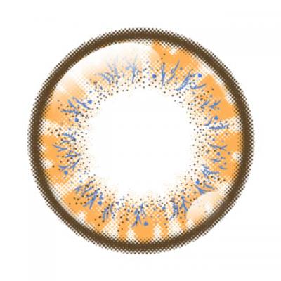 ストレリチア レンズ画像