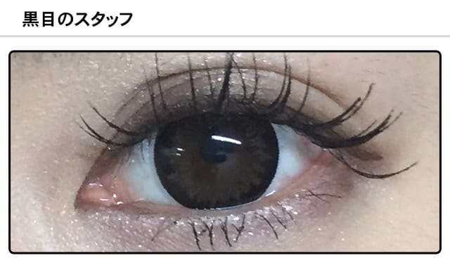 スタッフ0の装着画像