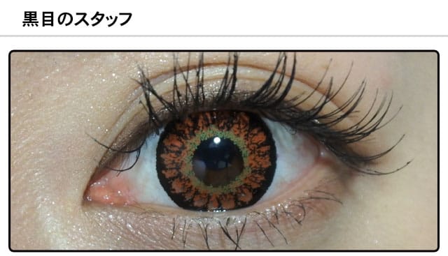 スタッフ0の装着画像