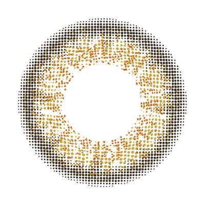 こなれた感じで レンズ画像