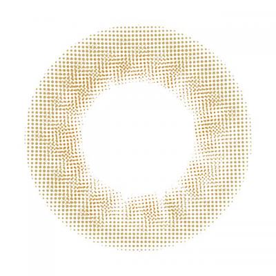 おしゃれホリック レンズ画像