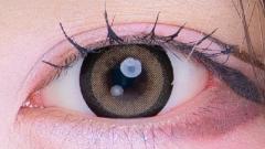 プラスニャン だーりん♡ぶらうん はやて 装用画像