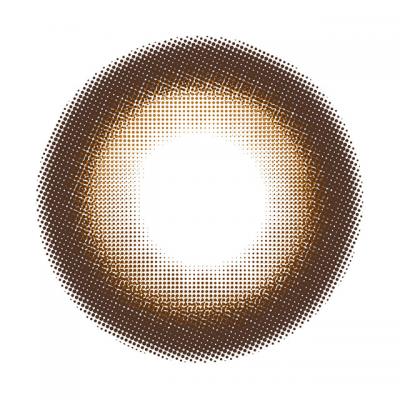 プリドーリーブラウン レンズ画像