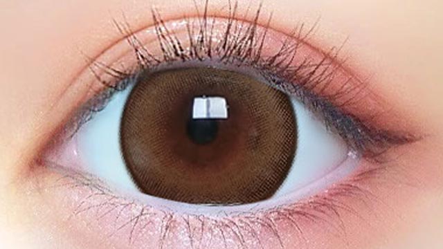 プリモア プリガールキャメルの装用画像