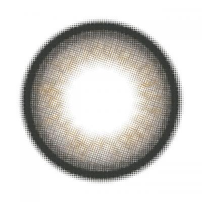 プリパールグレー レンズ画像