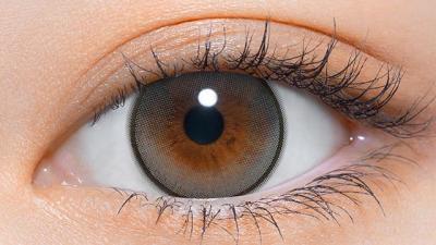 コアラグレー 装用画像