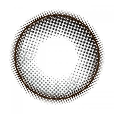 コアラグレー レンズ画像